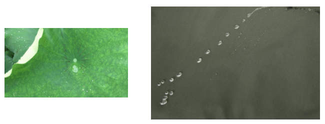 YY易游m6米乐医用纺织