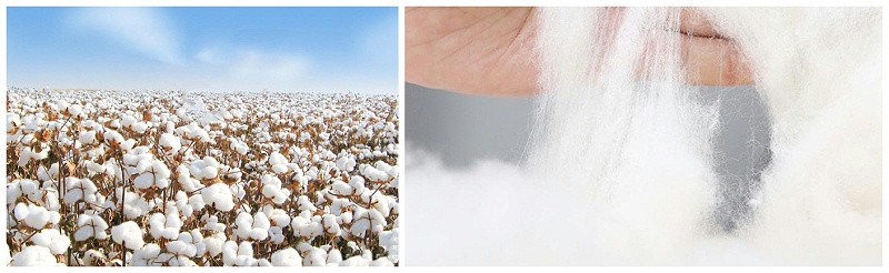 YY易游m6米乐医纺