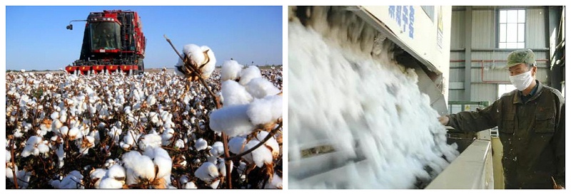 YY易游m6米乐医纺